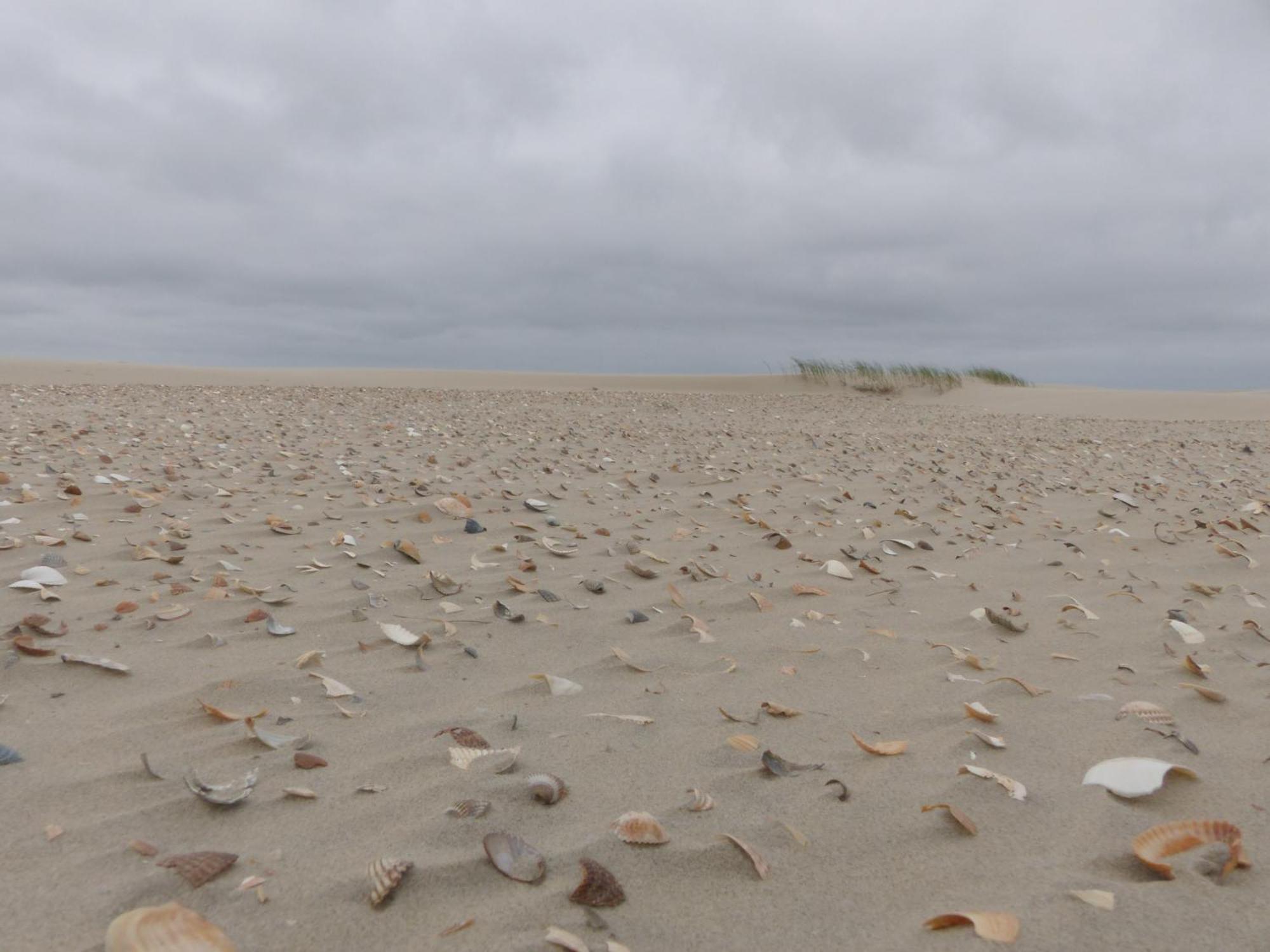 Huus Moevchen Borkum Exterior foto